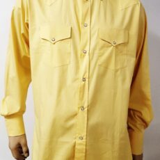 Camicia Western Barcley Regular