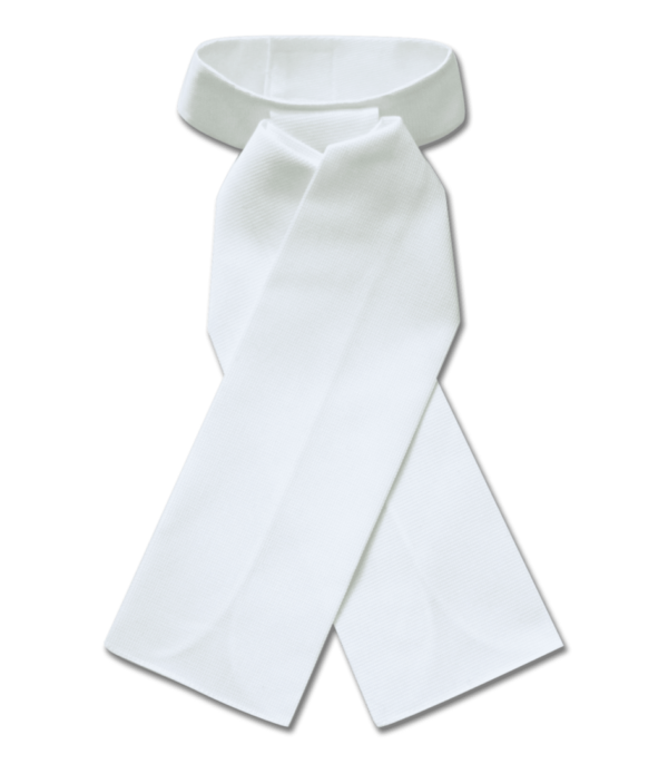 PLASTRON