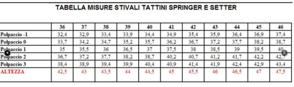 Stivale Tattini Springer Nero - immagine 3