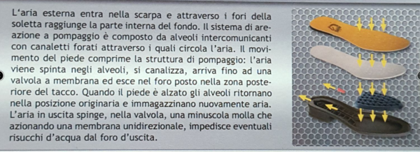 Stivale Tattini Springer Nero - immagine 4