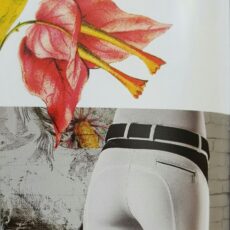 Pantalone donna Equiline con Grip al Ginocchio