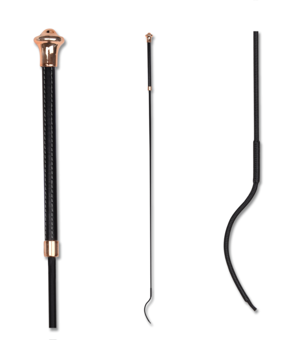 FRUSTINO DA DRESSAGE NOBLESSE - immagine 3