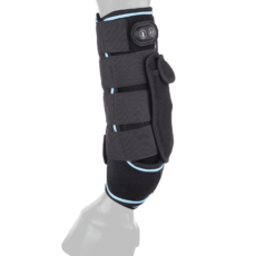 PARATENDINI W-HEALTH & CARE