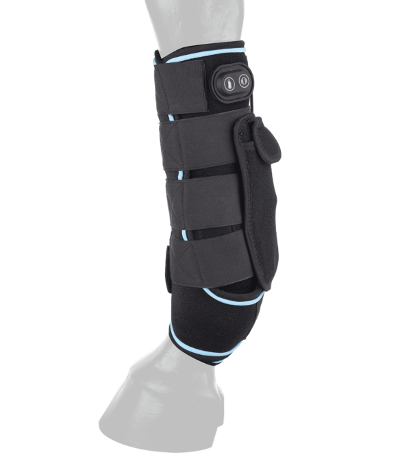 PARATENDINI W-HEALTH & CARE