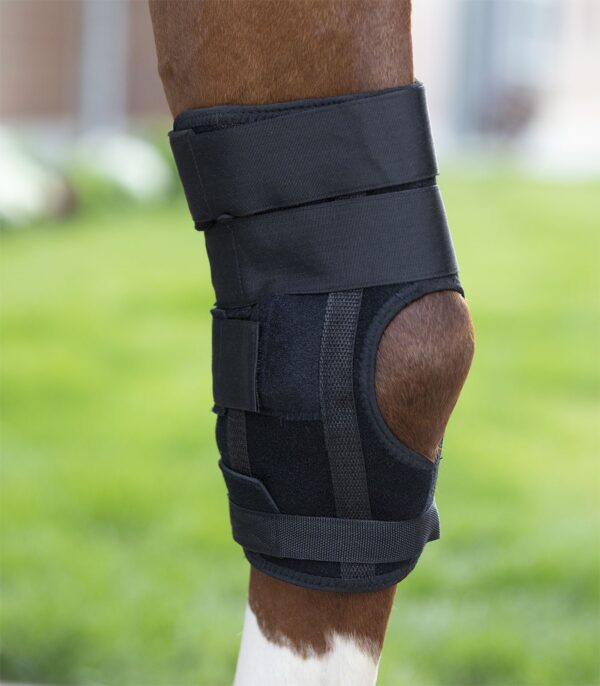 PARATENDINI PER GARRETTO W-HEALTH & CARE - immagine 4