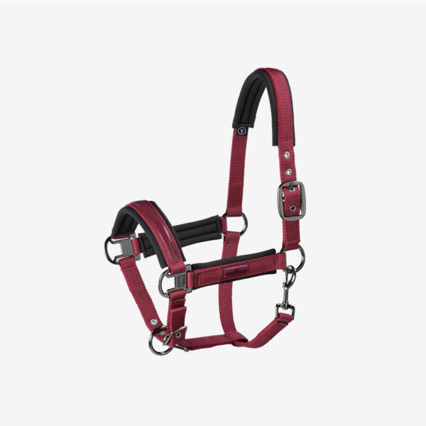 Capezza Eskadron buckle - immagine 2