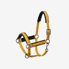 Capezza Eskadron buckle