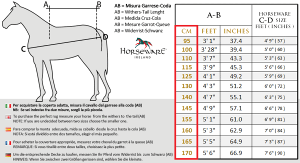 Coperta in cotone amico stabile horseware - immagine 3