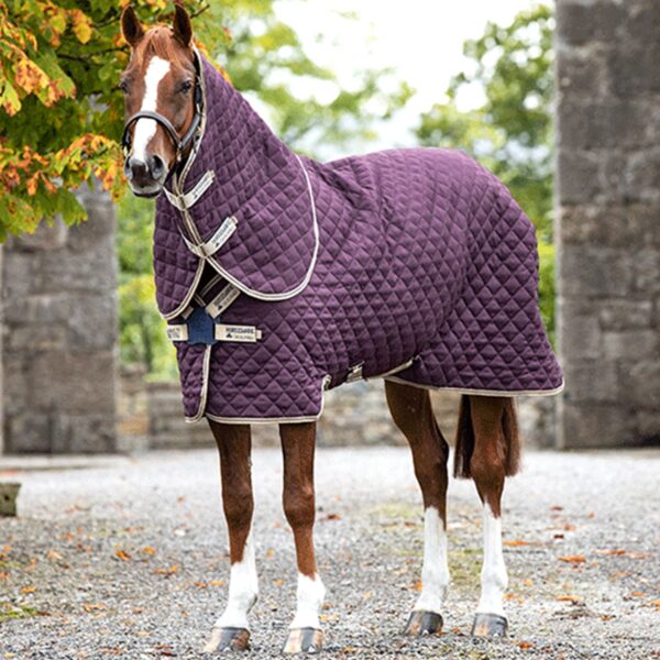 COPERTA da box Amigo Horseware