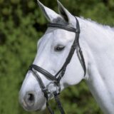 Briglia star con strass - immagine 4