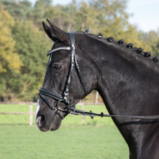 Testiera con frontalino in strass