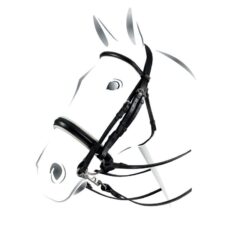 Briglia dressage morso/filetto