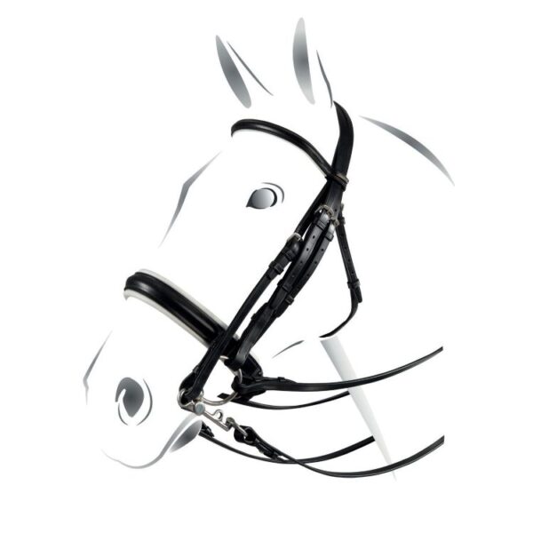 Briglia dressage morso/filetto