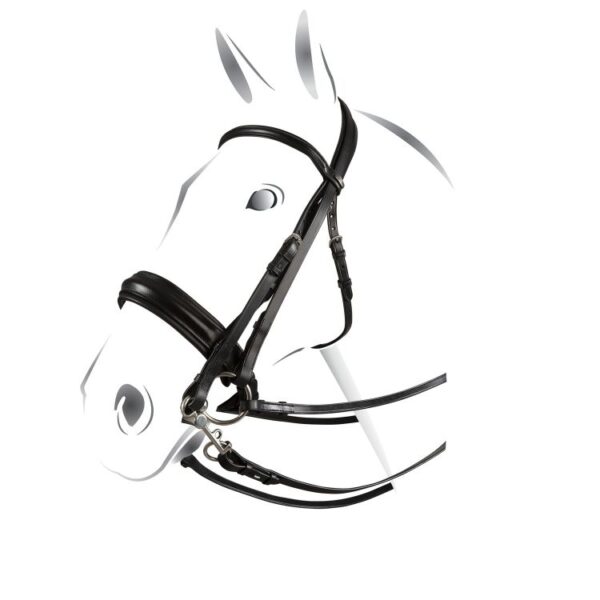 BRIGLIA DRESSAGE morso/filetto - immagine 2