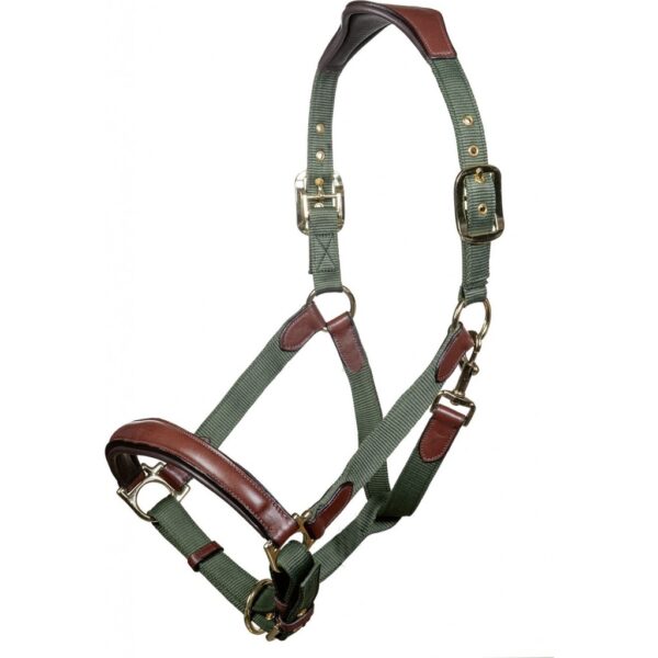 Capezza cuoio e nylon - immagine 4