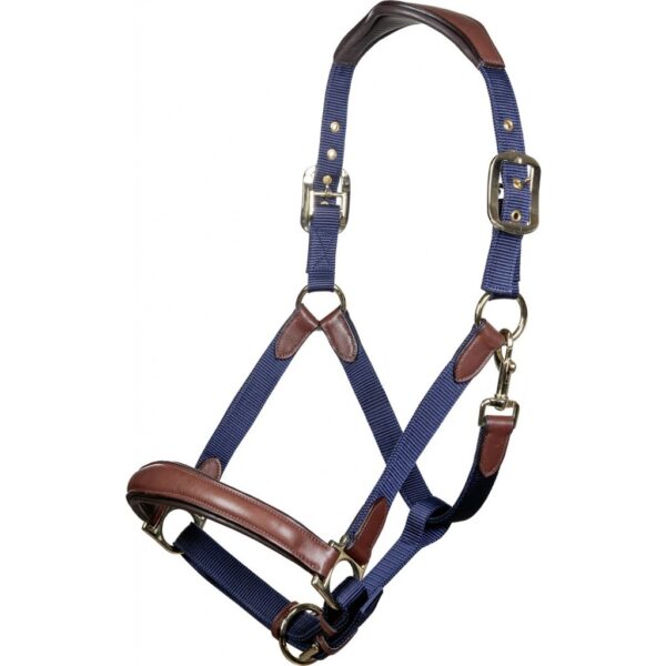 Capezza cuoio e nylon