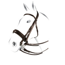 BRIGLIA DRESSAGE morso/filetto