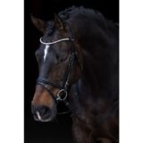 Testiera con frontalino strass - immagine 2