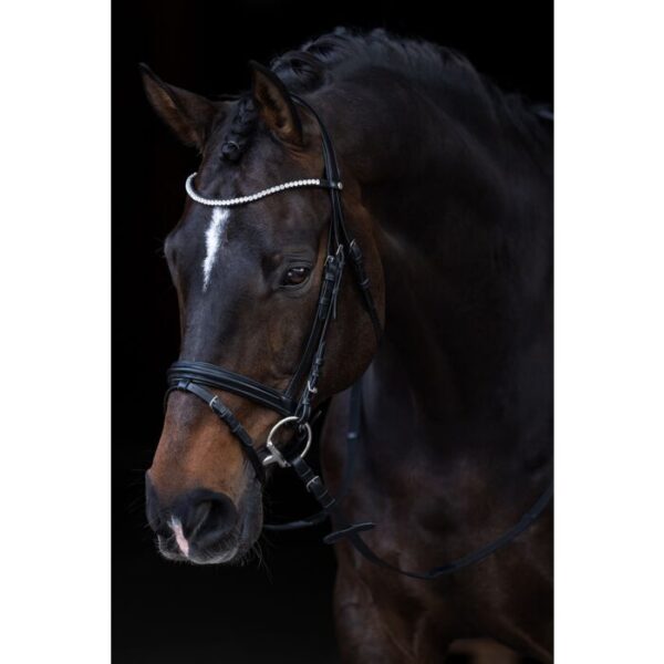 Testiera con frontalino strass - immagine 2