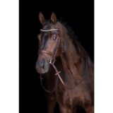 Testiera con frontalino strass - immagine 4