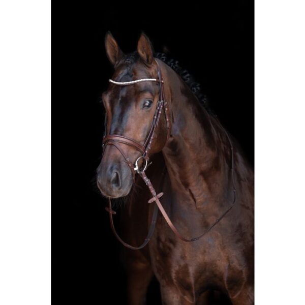 Testiera con frontalino strass - immagine 4
