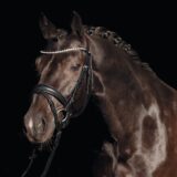 Testiera con frontalino in strass - immagine 4