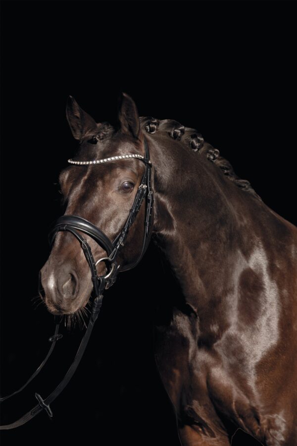 Testiera con frontalino in strass - immagine 4