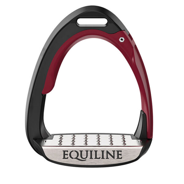 Staffe di sicurezza salto Equiline - immagine 6