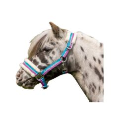 CAPEZZA FUNNY HORSES