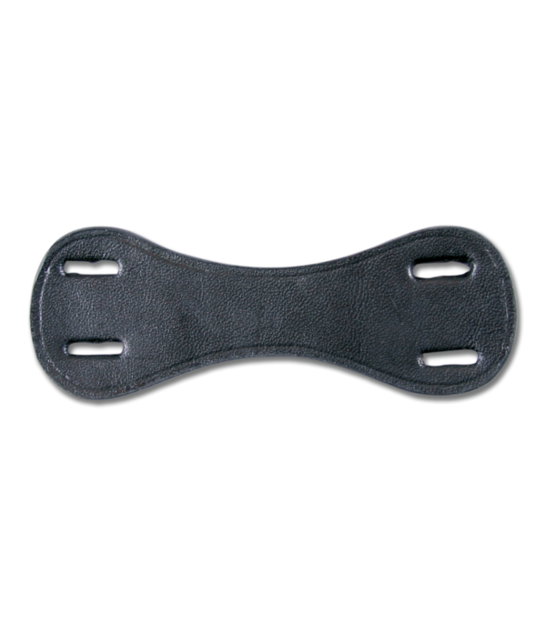 PASSANTE WALDHAUSEN PER STRINGIBOCCA
