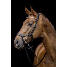 Briglia PRO ANATOMIC