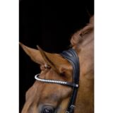 Briglia PRO ANATOMIC - immagine 3