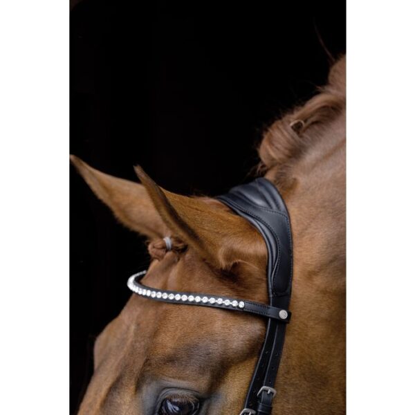 Briglia PRO ANATOMIC - immagine 3