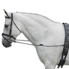 REDINI FISSE ELASTIC
