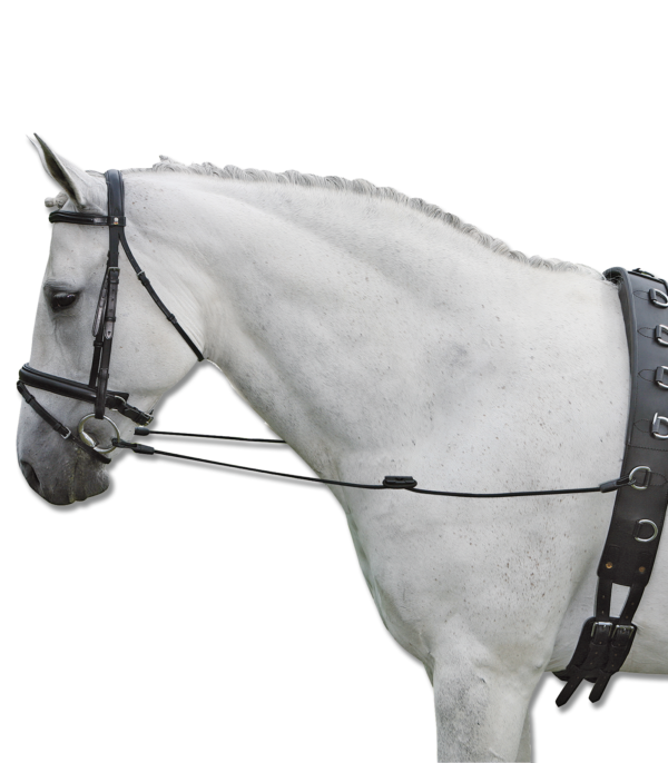 REDINI FISSE ELASTIC