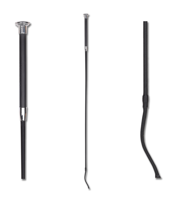 FRUSTINO DA DRESSAGE WALDHAUSEN
