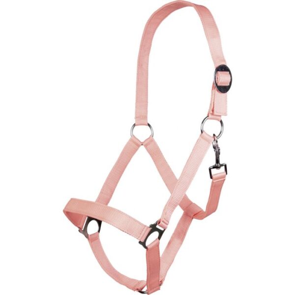 CAVEZZA STARS SOFTICE - immagine 3