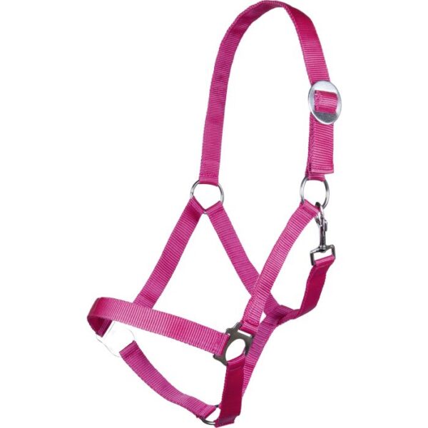CAVEZZA STARS SOFTICE - immagine 4