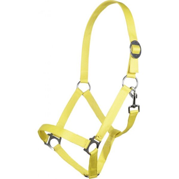 CAVEZZA STARS SOFTICE - immagine 6