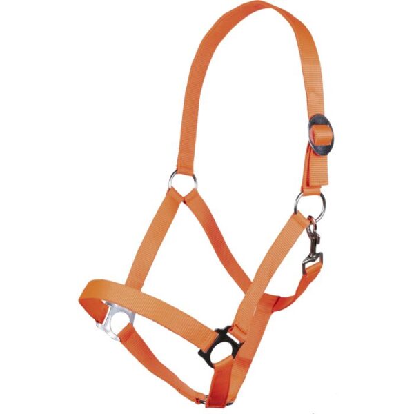 CAVEZZA STARS SOFTICE - immagine 7
