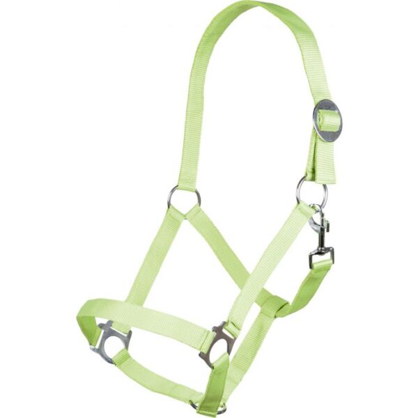 CAVEZZA STARS SOFTICE - immagine 8