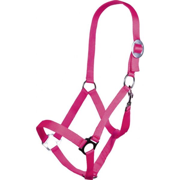 CAVEZZA STARS SOFTICE - immagine 9