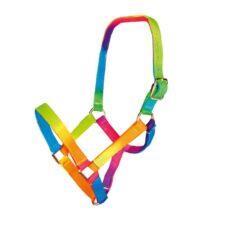 CAPEZZA MULTICOLOR