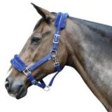 CAPEZZA GLITTER - immagine 3