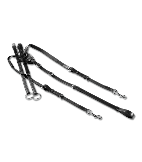 PETTORALE WALDHAUSEN X-LINE