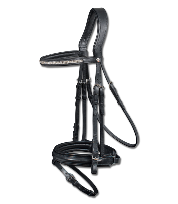 BRIGLIA WALDHAUSEN X-LINE DARLINGTON