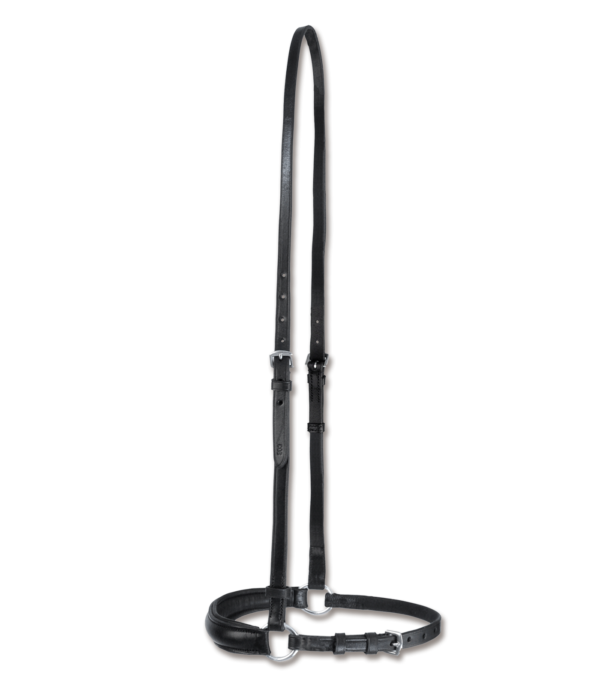 CAPEZZA HANN. WALDHAUSEN X-LINE