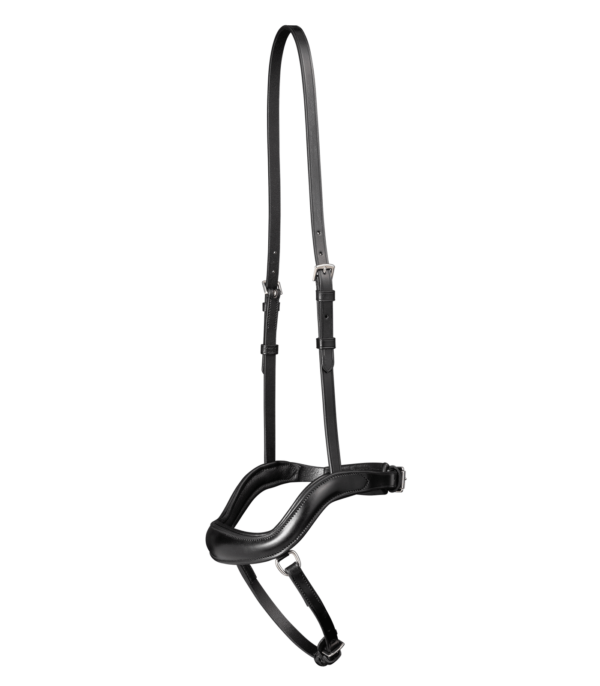 CAPEZZA DA MONTA WALDHAUSEN X-LINE NEWSHAPE