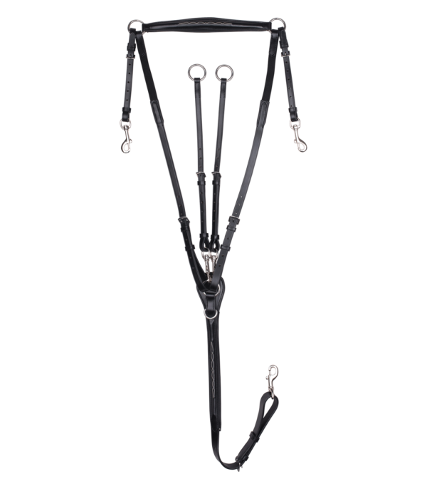 PETTORALE WALDHAUSEN X-LINE CON PONTE