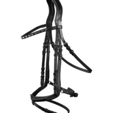 BRIGLIA WALDHAUSEN X-LINE FREEDOM